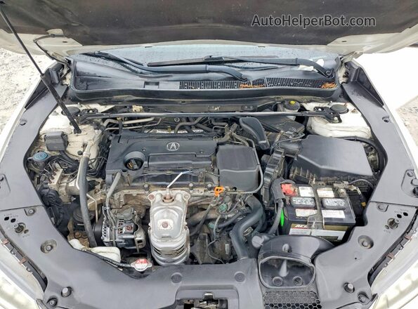 19UUB1F35GA008331 2016 ACURA TLX White უკანა სალონის ხედი
