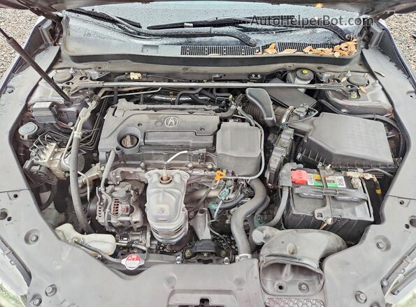 19UUB1F36HA009053 2017 ACURA TLX Серый Вид задней части салона