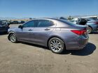 2019 Acura Tlx Серый vin: 19UUB1F36KA007178