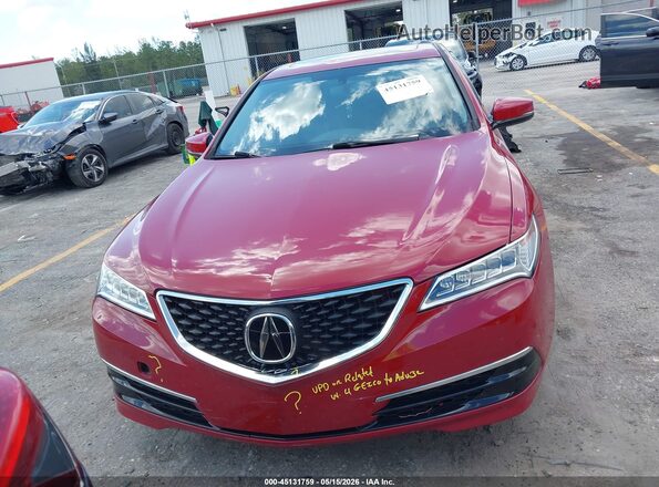 19UUB1F37HA005030 2017 ACURA TLX Красный Вид задней части салона