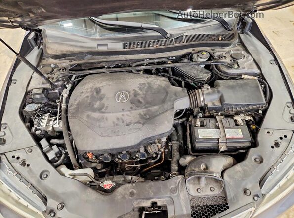 19UUB2F51HA005032 2017 ACURA TLX Серый Вид задней части салона
