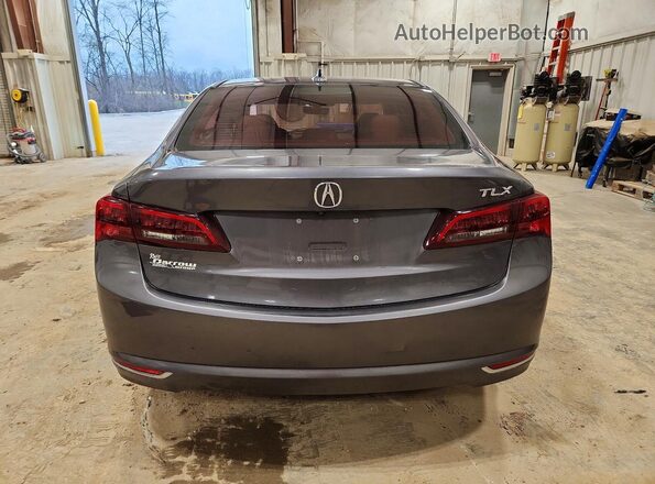 19UUB2F51HA005032 2017 ACURA TLX Серый Вид сзади