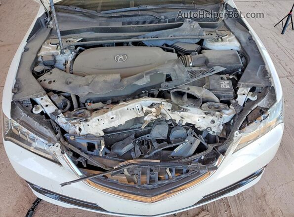 19UUB3F54HA002096 2017 ACURA TLX Белый Вид задней части салона