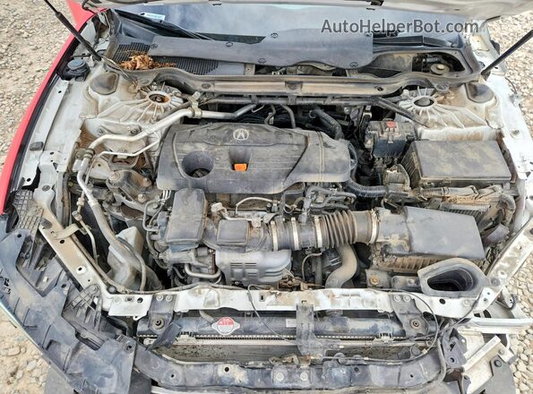 19UUB6F55MA008047 2021 ACURA TLX Red Widok wnętrza z tyłu
