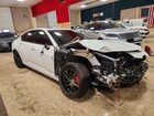 2025 Acura Tlx Type S Белый vin: 19UUB7F05SA001364