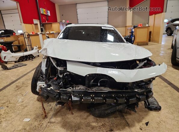 19UUB7F05SA001364 2025 ACURA TLX Белый Вид спереди
