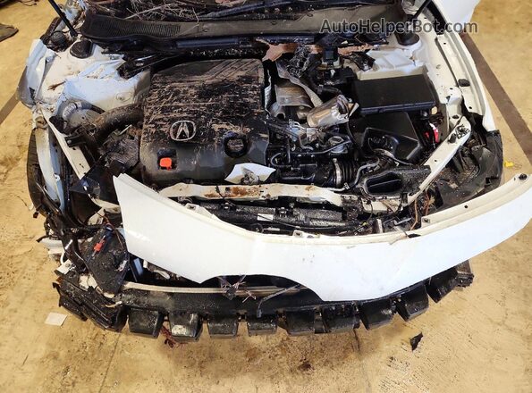 19UUB7F05SA001364 2025 ACURA TLX Белый Вид задней части салона