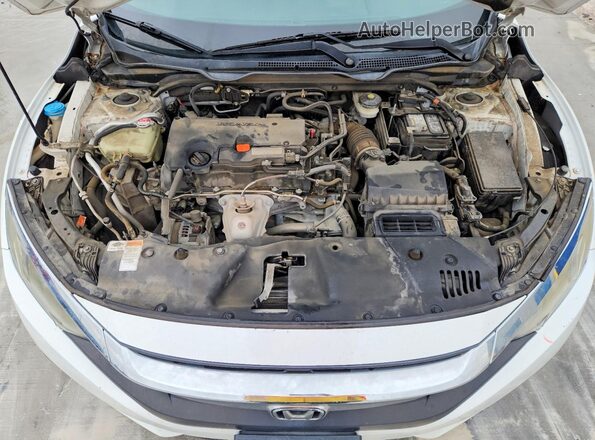 19XFC2F59GE041258 2016 HONDA CIVIC White Widok wnętrza z tyłu