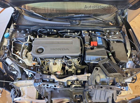 19XFL2H81SE030853 2025 HONDA CIVIC Gray Widok wnętrza z tyłu