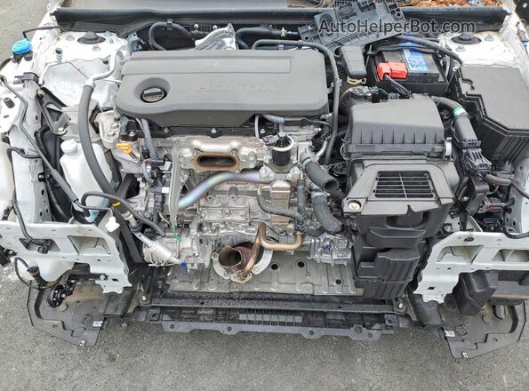 19XFL2H85SE005633 2025 HONDA CIVIC Белый Вид задней части салона
