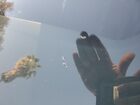 2020 Honda Insight Ex White vin: 19XZE4F53LE004588 Damage: Windshield, Cracked, 1 To 2 Inches 2020 Honda Insight Ex White vin: 19XZE4F53LE004588 Damage: Windshield, Cracked, 1 To 2 Inches