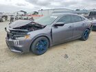 2021 Honda Insight Ex Gray vin: 19XZE4F55ME011365