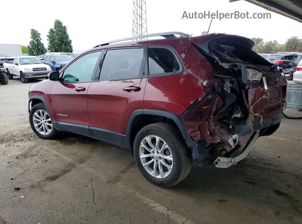 1C4PJLCB7LD536371 2020 JEEP CHEROKEE Красный Задняя левая четверть