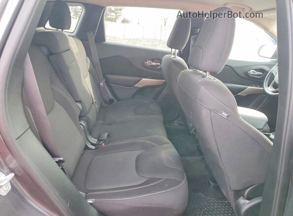 1C4PJLCS2HW586462 2017 JEEP CHEROKEE Gray Vista interior trasera