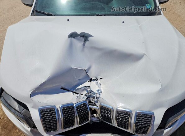 1C4PJLDB1LD610253 2020 JEEP CHEROKEE White Engine compartment view