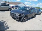 2019 Jeep Cherokee Limited Fwd Серый vin: 1C4PJLDX5KD249958