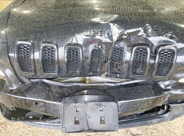 1C4PJLDX7JD513390 2018 JEEP CHEROKEE Black Vista interior trasera