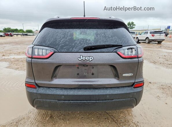 1C4PJLLB3MD156140 2021 JEEP CHEROKEE Серый Вид сзади
