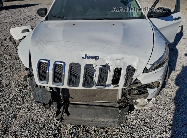 1C4PJMABXHW569840 2017 JEEP CHEROKEE Белый Вид задней части салона