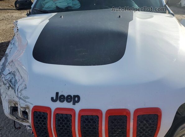 1C4PJMBN3KD124027 2019 JEEP CHEROKEE Белый Вид задней части салона