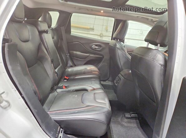 1C4PJMBN4LD539469 2020 JEEP CHEROKEE White Вид задньої частини салону