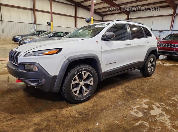 1C4PJMBS4HD217573 2017 JEEP CHEROKEE White Przód lewy