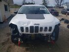 2019 Jeep Cherokee Trailhawk White vin: 1C4PJMBX1KD397582