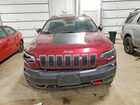 2021 Jeep Cherokee Trailhawk Maroon vin: 1C4PJMBX1MD246308