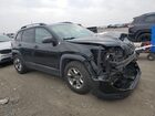 2019 Jeep Cherokee Trailhawk Черный vin: 1C4PJMBX3KD393761