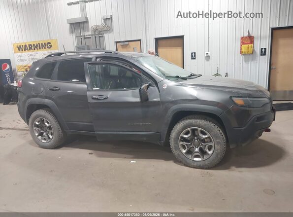 1C4PJMBX8KD352686 2019 JEEP CHEROKEE Серый Вид задней части салона