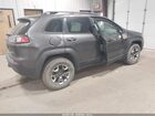 2019 Jeep Cherokee Trailhawk 4x4 Серый vin: 1C4PJMBX8KD352686