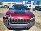 2019 Jeep Cherokee Trailhawk Красный vin: 1C4PJMBXXKD483490