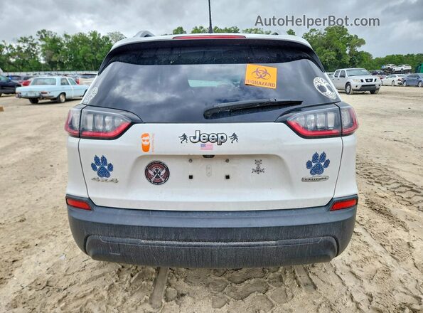 1C4PJMCB8LD550429 2020 JEEP CHEROKEE White Widok z tyłu
