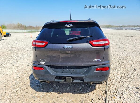 1C4PJMCS9GW253180 2016 JEEP CHEROKEE Серый Вид сзади