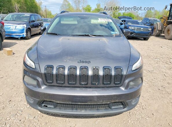 1C4PJMDS8HW501547 2017 JEEP CHEROKEE Серый Вид спереди