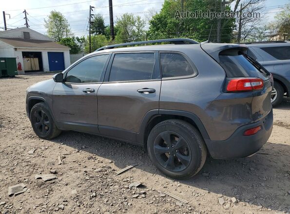 1C4PJMDS8HW501547 2017 JEEP CHEROKEE Серый Задняя левая четверть