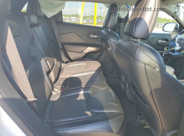 1C4PJMDX4LD616596 2020 JEEP CHEROKEE Белый Вид задней части салона