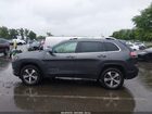 2020 Jeep Cherokee Limited 4x4 Серый vin: 1C4PJMDX4LD647721