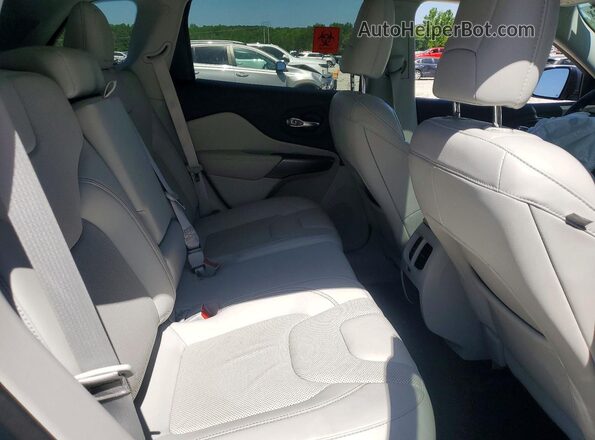 1C4PJMDX5LD655620 2020 JEEP CHEROKEE Синий Вид задней части салона