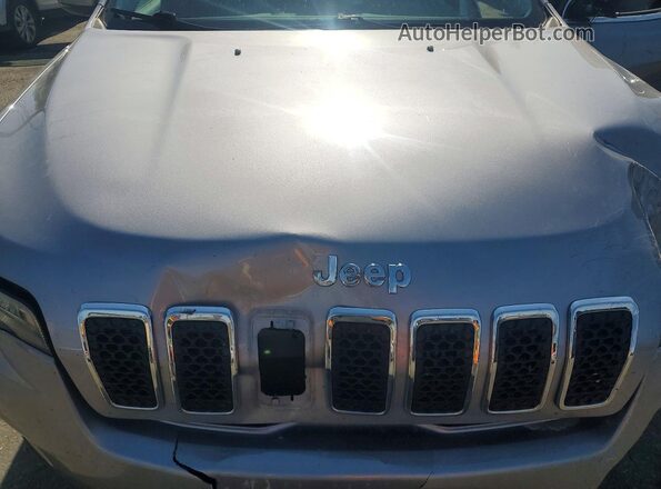 1C4PJMDX8LD544592 2020 JEEP CHEROKEE Серебряный Вид подкапотного пространства