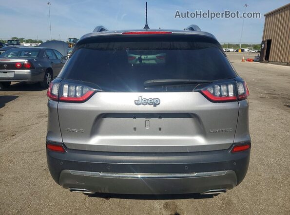 1C4PJMDX8LD544592 2020 JEEP CHEROKEE Серебряный Вид сзади