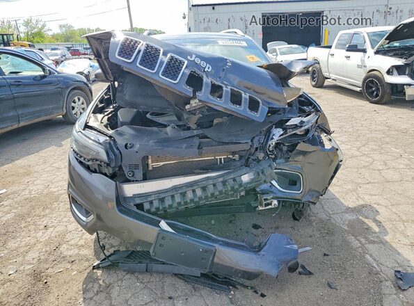 1C4PJMDXXLD650560 2020 JEEP CHEROKEE Угольный Вид спереди