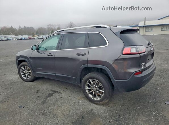 1C4PJMLB1LD510015 2020 JEEP CHEROKEE Серый Задняя левая четверть