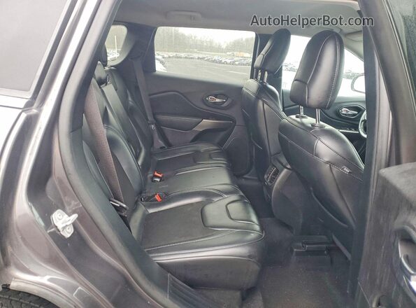 1C4PJMLB1LD510015 2020 JEEP CHEROKEE Серый Вид задней части салона