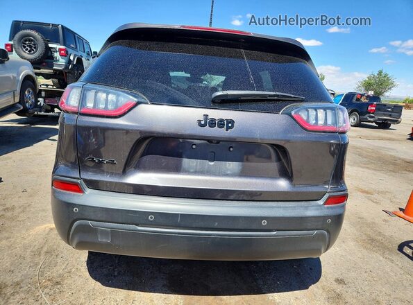 1C4PJMLB3MD220246 2021 JEEP CHEROKEE Gray Vista trasera