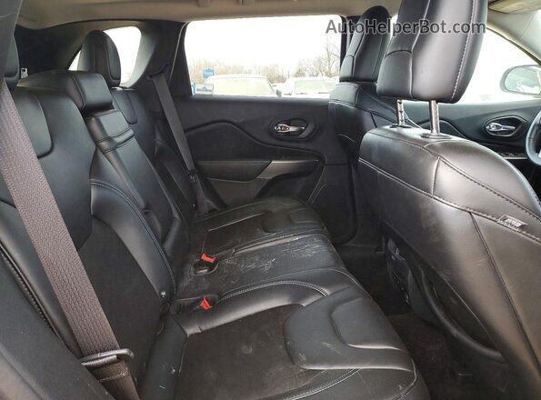 1C4PJMLB7KD105517 2019 JEEP CHEROKEE Серый Вид задней части салона