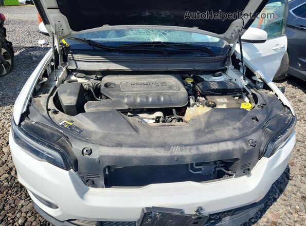 1C4PJMLBXKD239714 2019 JEEP CHEROKEE Белый Вид задней части салона