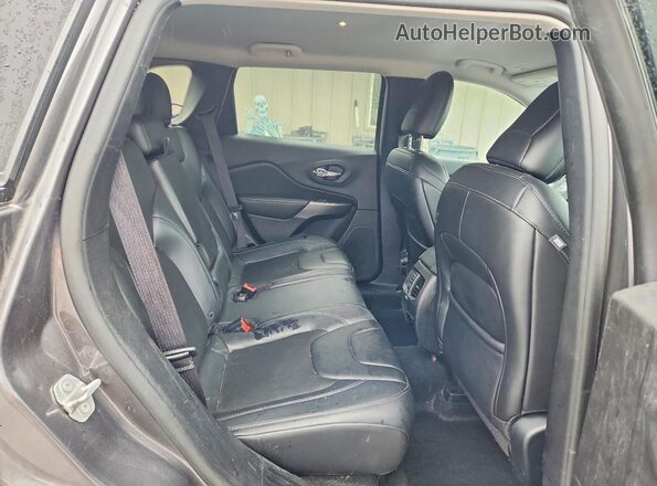 1C4PJMLBXKD438486 2019 JEEP CHEROKEE Серый Вид задней части салона