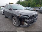 2020 Jeep Cherokee Latitude Lux 4x4 Серый vin: 1C4PJMLXXLD632965