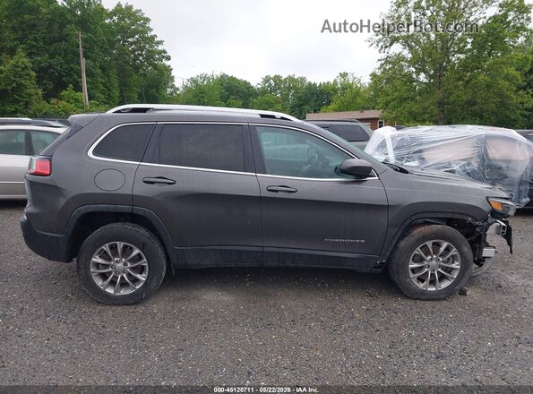 1C4PJMLXXLD632965 2020 JEEP CHEROKEE Серый Вид задней части салона